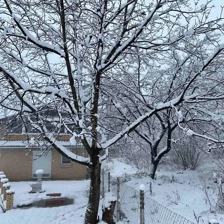 Kraljev Breg Fruska Gora Pool And Padel Cortanovci