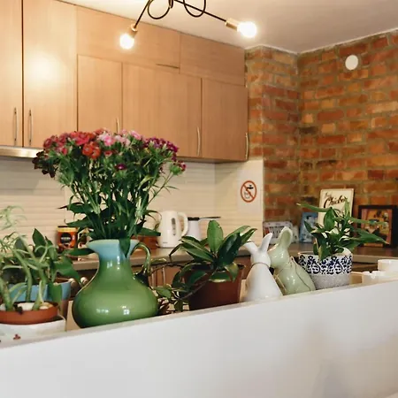 Kraljev Breg Fruska Gora Pool And Padel Villa