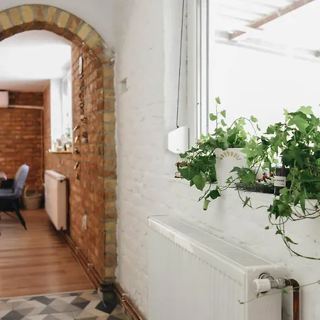 Kraljev Breg Fruska Gora Pool And Padel Villa Cortanovci