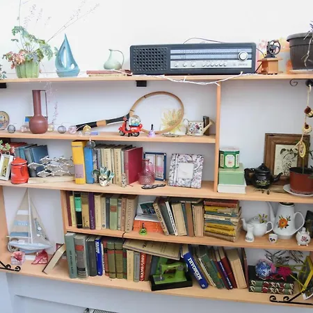 Kraljev Breg Fruska Gora Pool And Padel