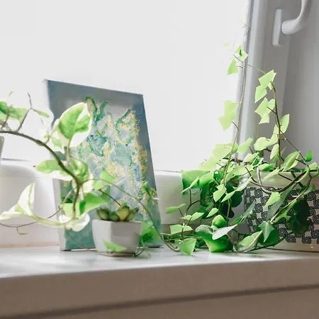 Kraljev Breg Fruska Gora Pool And Padel Villa Cortanovci