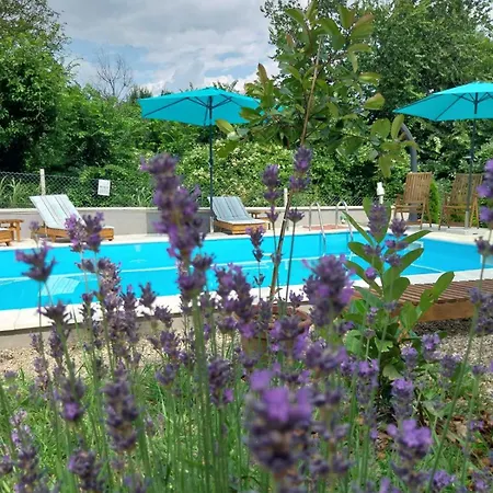 Kraljev Breg Fruska Gora Pool And Padel * Cortanovci