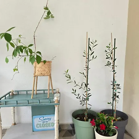 Kraljev Breg Fruska Gora Pool And Padel