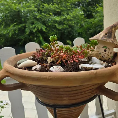 Kraljev Breg Fruska Gora Pool And Padel Villa *