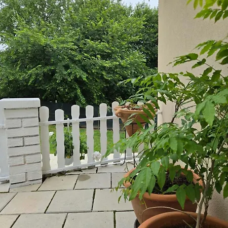 Kraljev Breg Fruska Gora Pool And Padel *