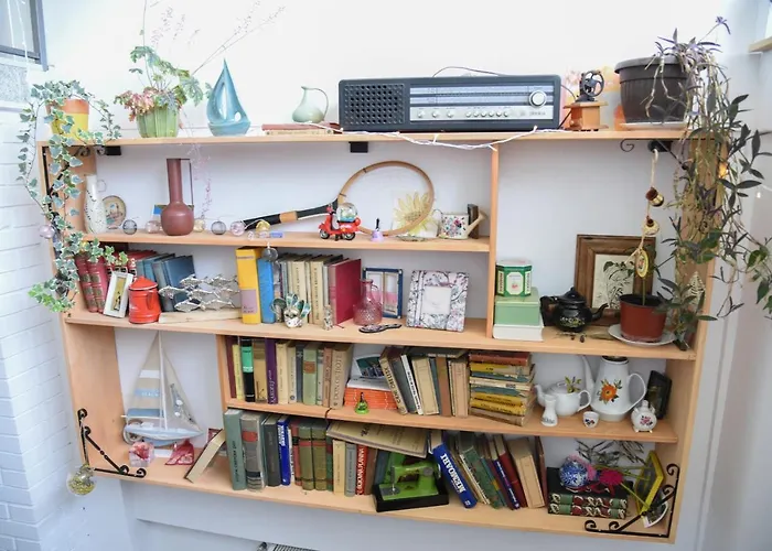 Kraljev Breg Fruska Gora Pool And Padel