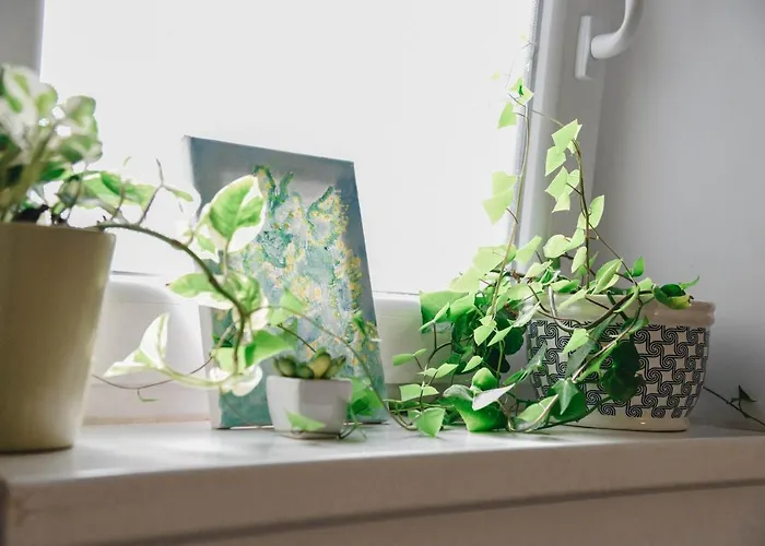 Kraljev Breg Fruska Gora Pool And Padel Villa Cortanovci