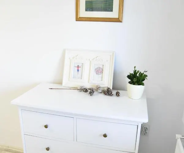 Villa Kraljev Breg Fruska Gora Pool And Padel *