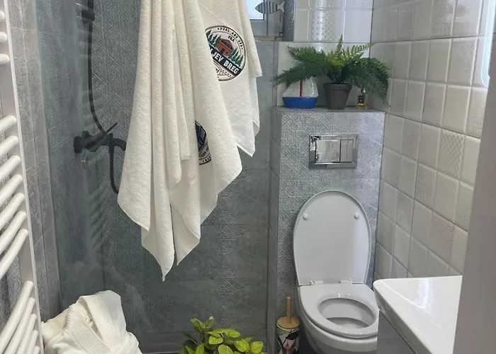 Villa Kraljev Breg Fruska Gora Pool And Padel