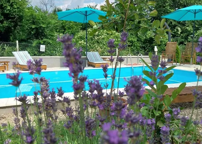 Kraljev Breg Fruska Gora Pool And Padel * Cortanovci