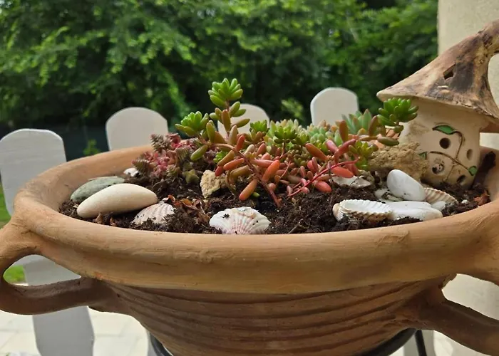 Kraljev Breg Fruska Gora Pool And Padel Villa *