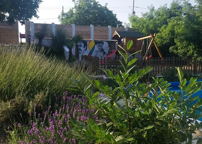 Villa Kraljev Breg Fruska Gora Pool And Padel