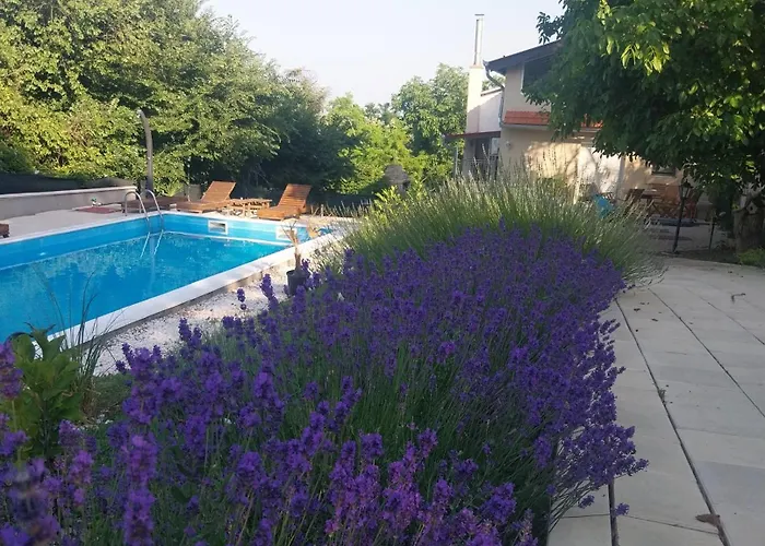 Villa Kraljev Breg Fruska Gora Pool And Padel