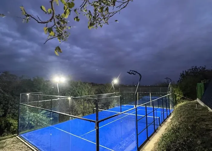 Villa Kraljev Breg Fruska Gora Pool And Padel Cortanovci